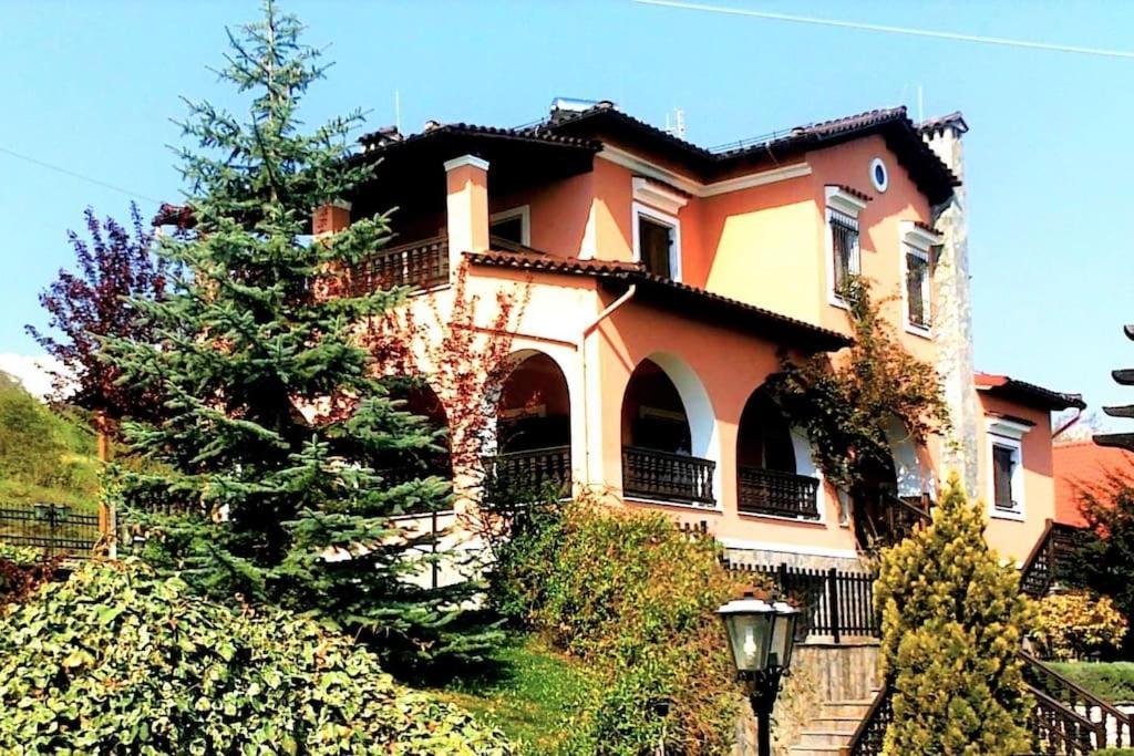 Villa Tethys Mountain Resort Zákas Exterior photo