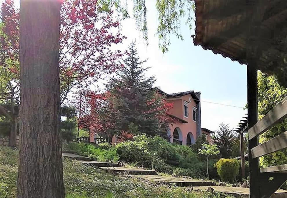 Villa Tethys Mountain Resort Zákas Exterior photo