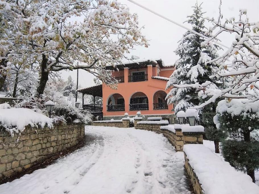 Villa Tethys Mountain Resort Zákas Exterior photo